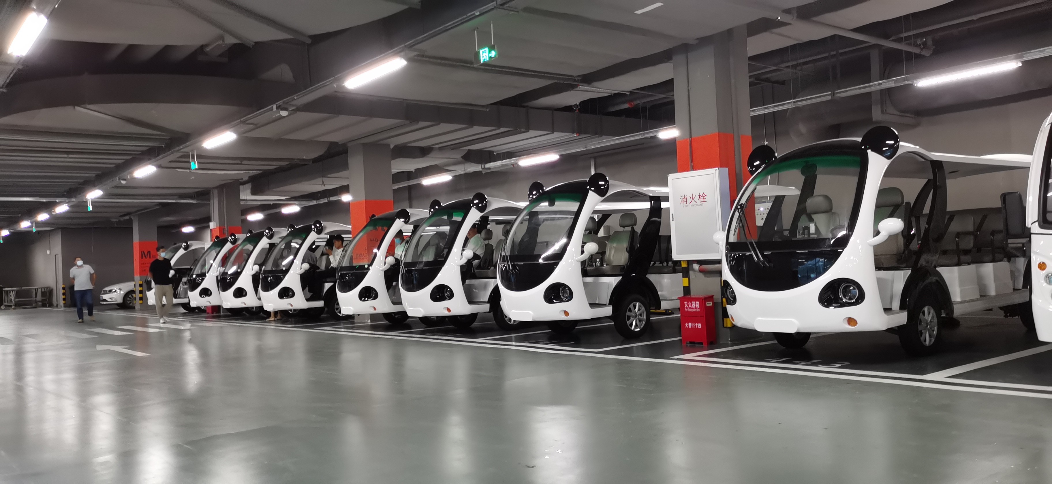專(zhuān)業(yè)電動(dòng)巡邏車(chē)<div   id=