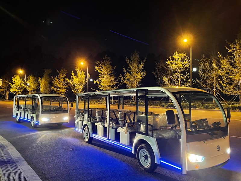 專業(yè)電動(dòng)巡邏車<div   id=