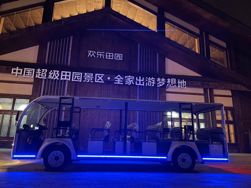 專業(yè)電動(dòng)巡邏車<div   id=