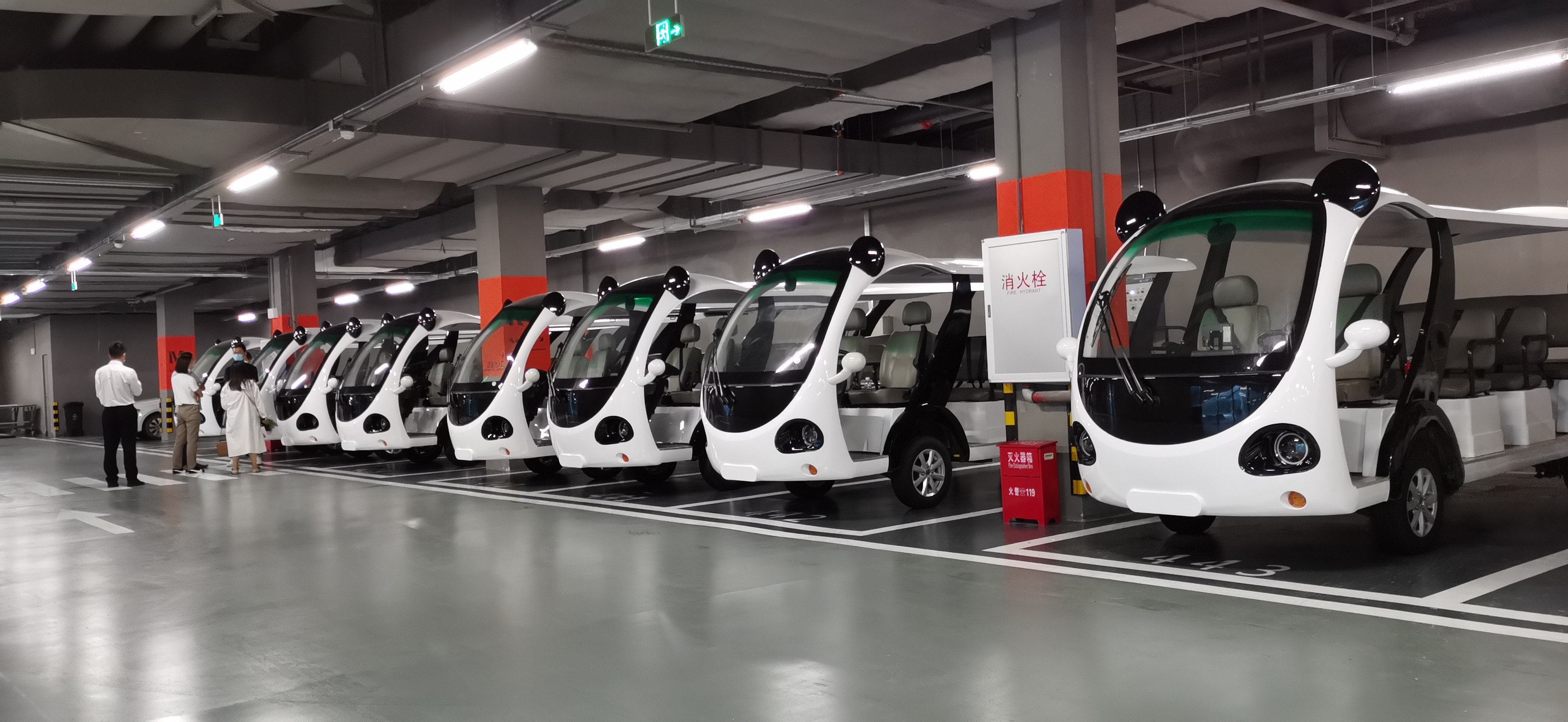 專業(yè)電動巡邏車、電動觀光車制造商