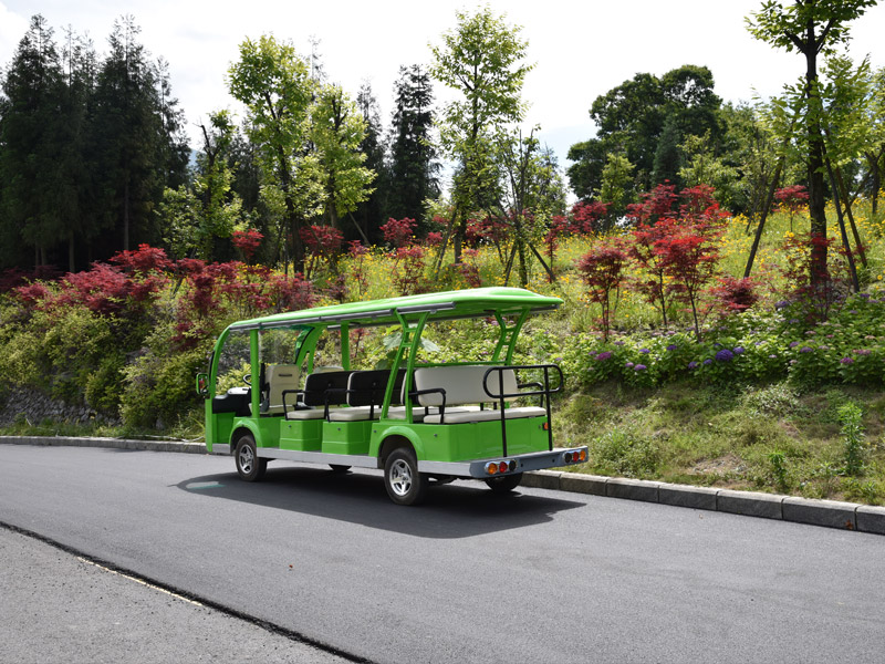 專業(yè)電動(dòng)巡邏車<div   id=